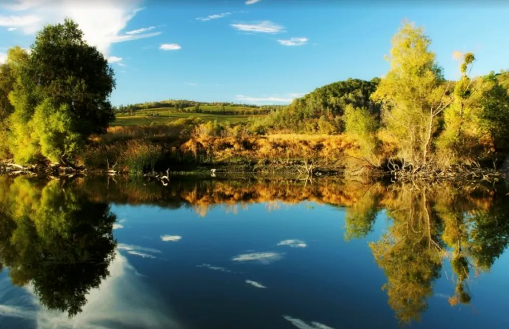 A serene lake with reflections of trees and sky.