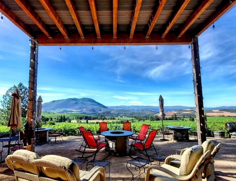 Covered patio with tables, chairs, and umbrellas overlooking a vineyard.