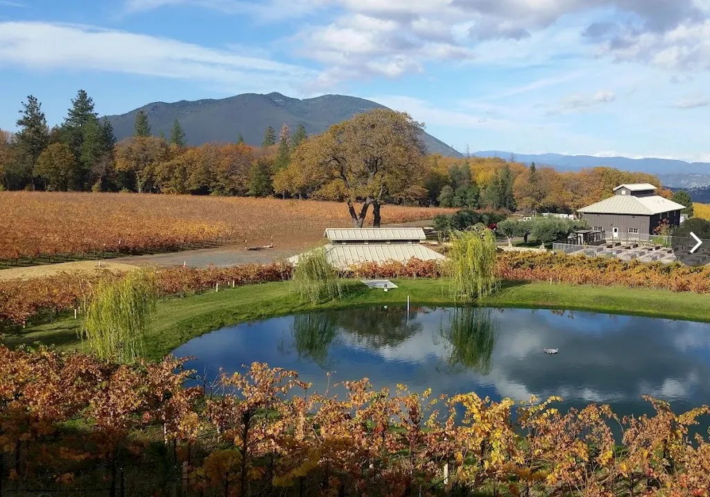 A vineyard with a pond, mountains, and a house in the background.